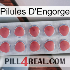 Engorge Pills 18